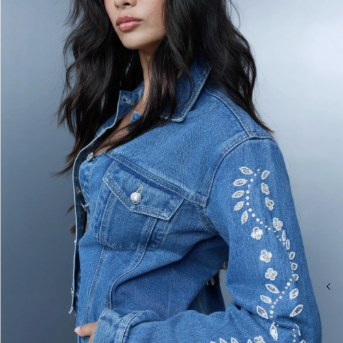 Screenshot 2026-07-15 at 7.10.41 PM Bluer- Hand Embroidered Floral Jacket - Blue