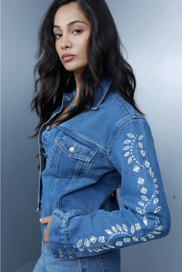 Bluer- Hand Embroidered Floral Jacket – Blue