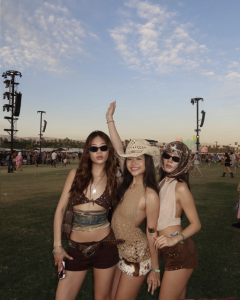 Concerts & Festivals